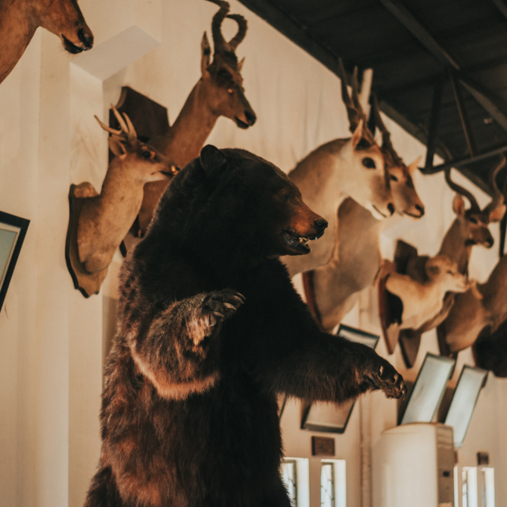 Top 10 things to do in Zakopane